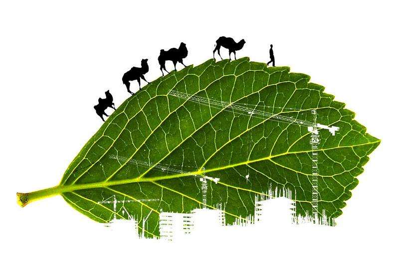 絲綢之路的綠色化：支持“一帶一路”建立碳交易體系.jpg
